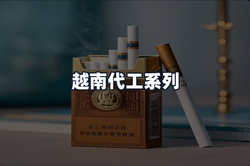 越南代工系列
